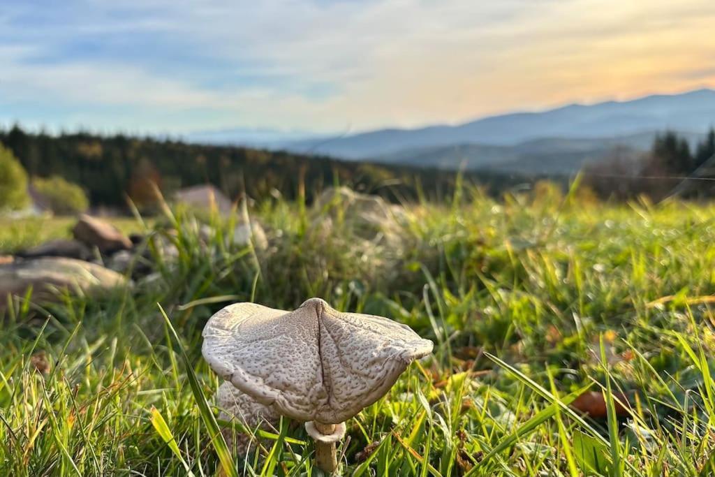 Blizej Nieba Koskowa Gora Villa Bogdanowka Екстериор снимка