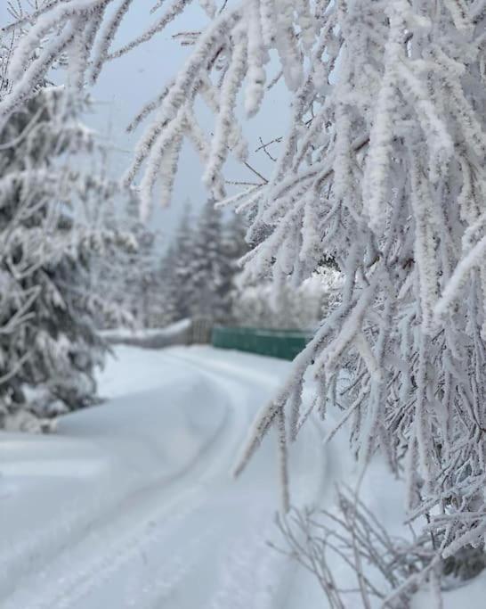 Blizej Nieba Koskowa Gora Villa Bogdanowka Екстериор снимка